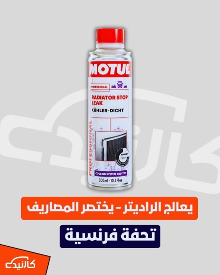 معالج تسريب راديتر - موتل